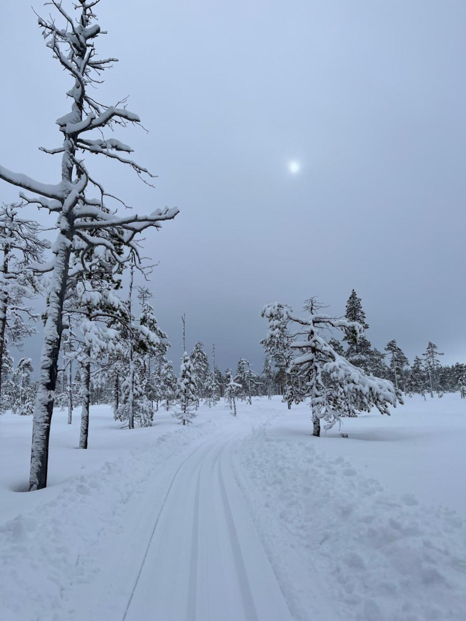 Särna Knappgarden المظهر الخارجي الصورة