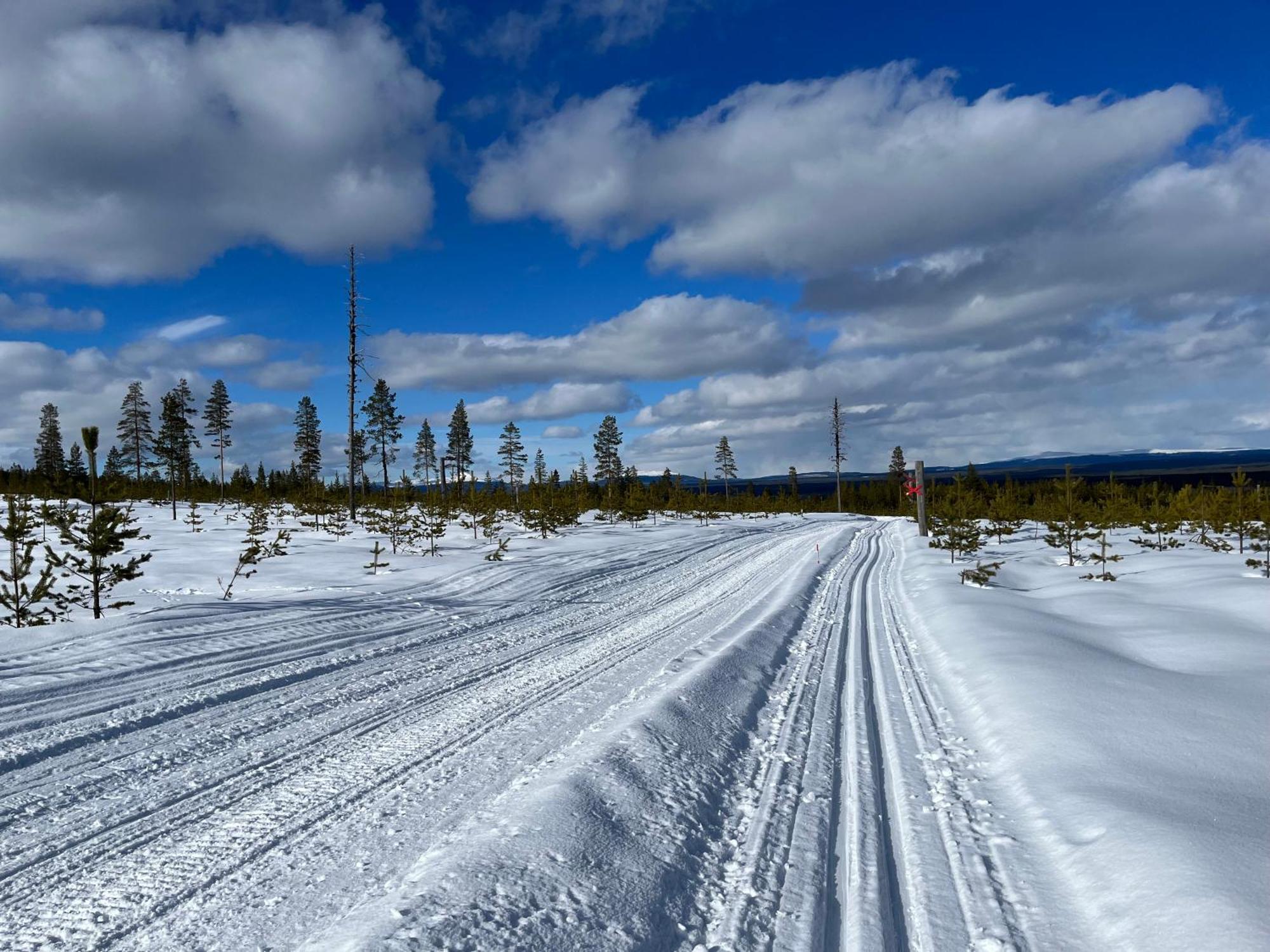 Särna Knappgarden المظهر الخارجي الصورة