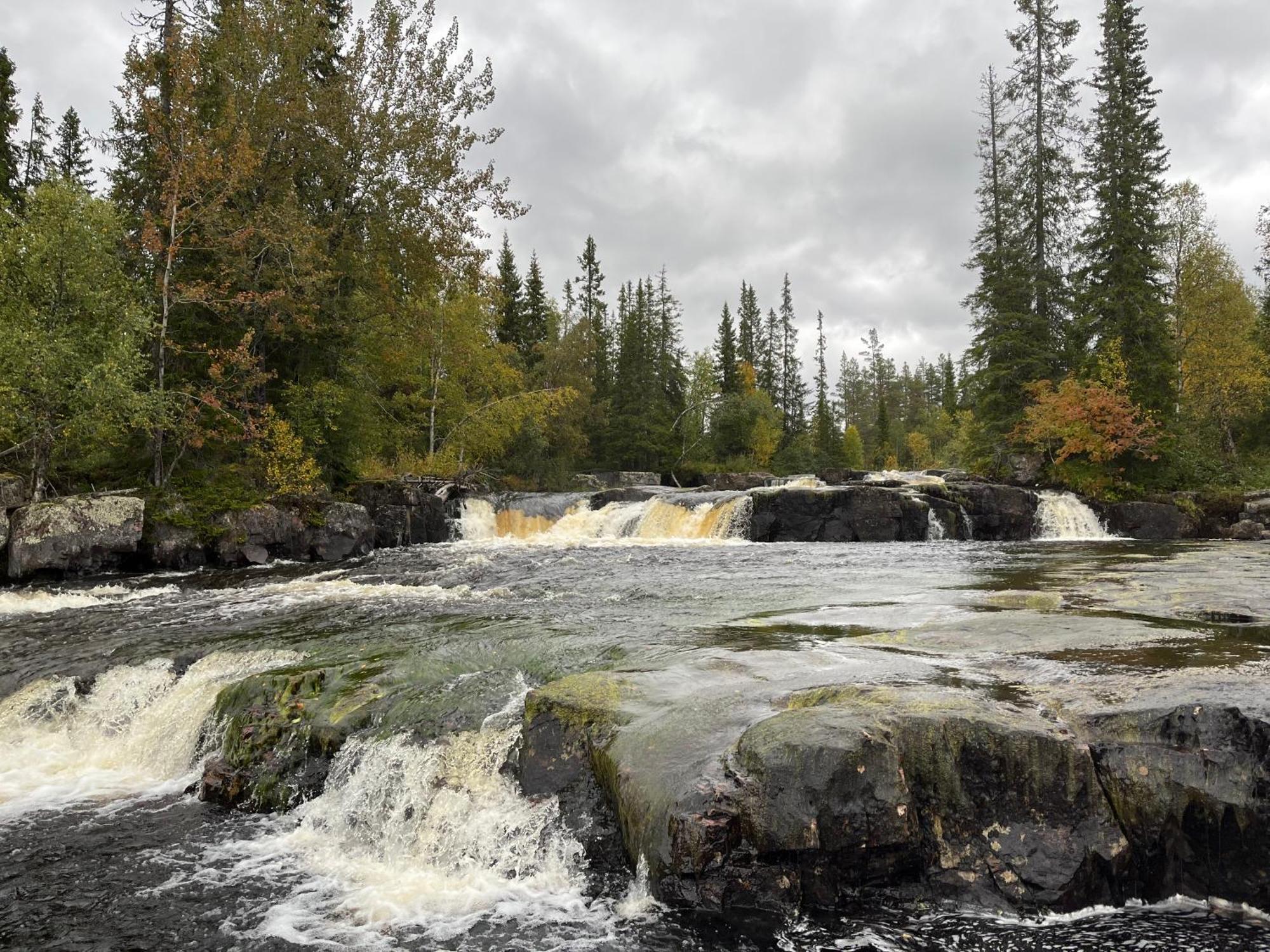 Särna Knappgarden المظهر الخارجي الصورة