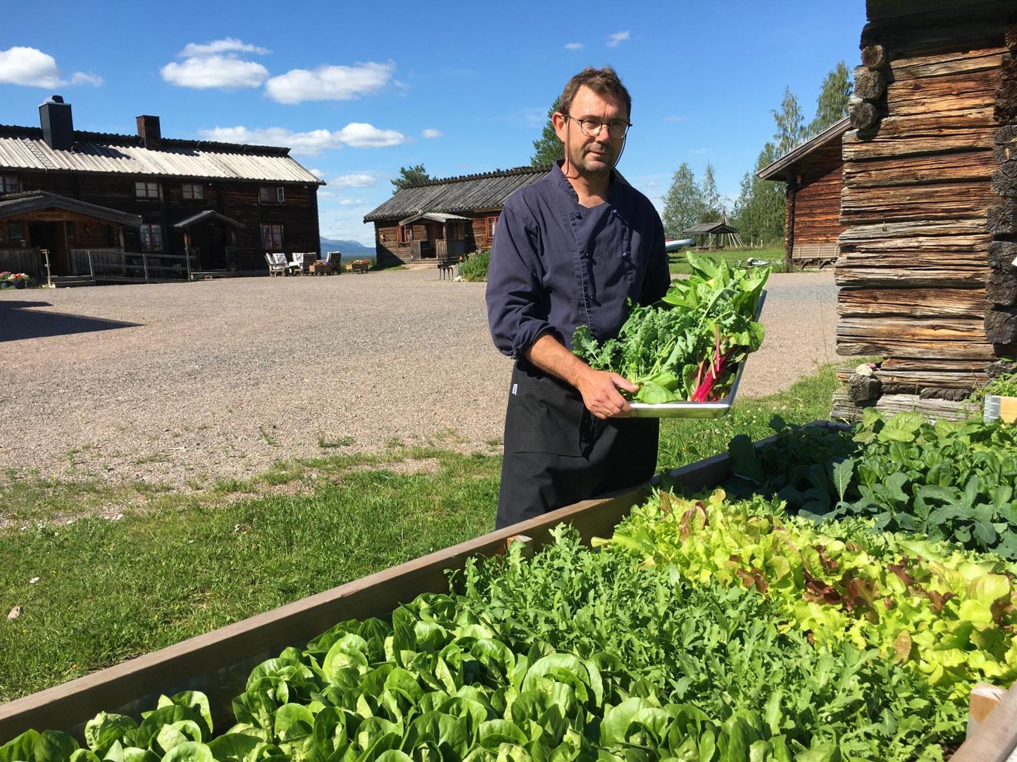 Särna Knappgarden المظهر الخارجي الصورة