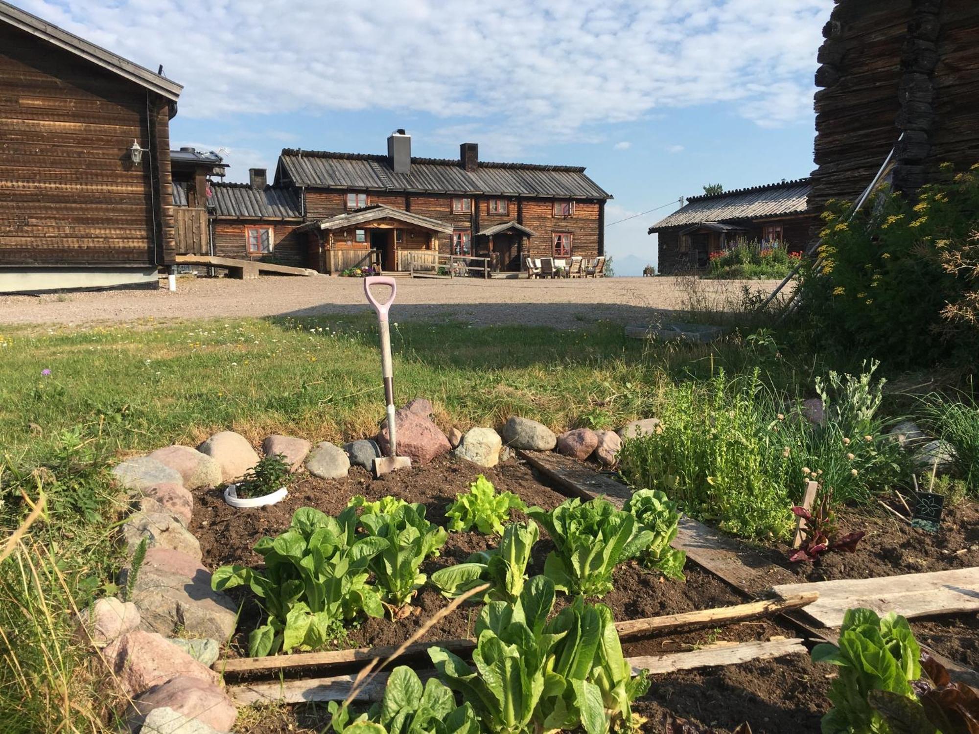 Knappgarden Särna المظهر الخارجي الصورة