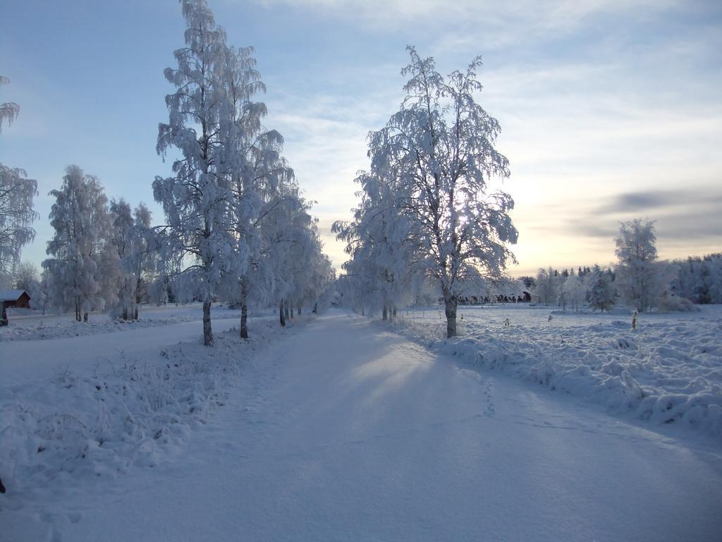 Särna Knappgarden المظهر الخارجي الصورة