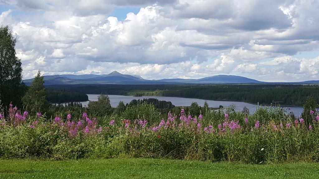 Särna Knappgarden المظهر الخارجي الصورة